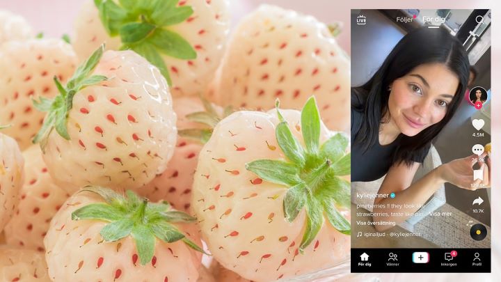 Kylie Jenner Pineberries