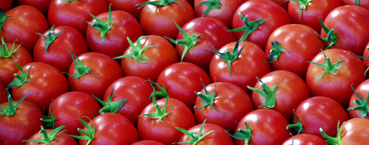 Röda Tomater